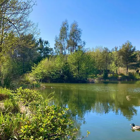 Les Restanques Bruyeres 2103 Proche Piscine 아파트 *