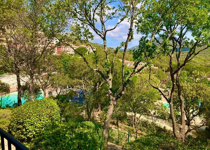 Les Restanques Bruyeres 2103 Proche Piscine Διαμέρισμα Grimaud