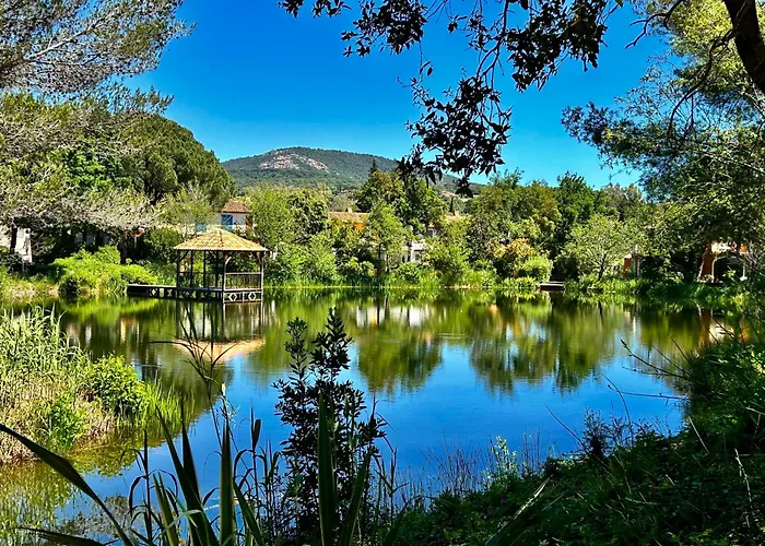 Les Restanques Bruyeres 2103 Proche Piscine Διαμέρισμα *