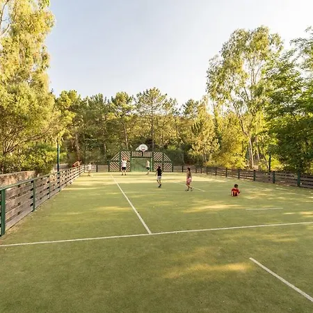 Les Restanques Bruyeres 2103 Proche Piscine Grimaud