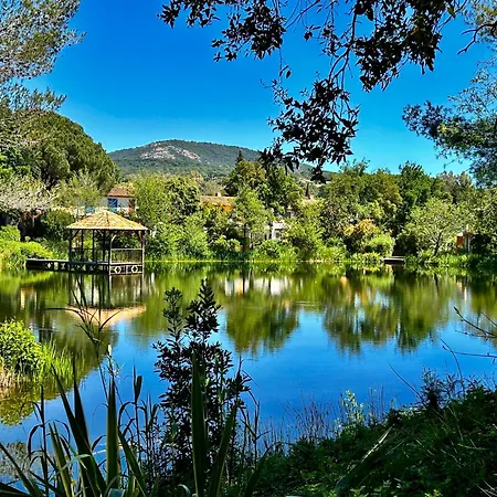 Les Restanques Bruyeres 2103 Proche Piscine アパート *